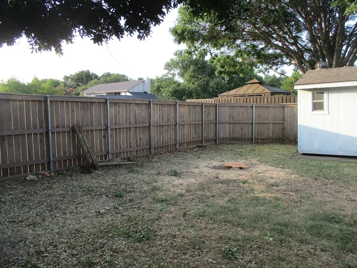 Cleared yard after professional tree removal in Barryville